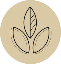 Clean Ingredients